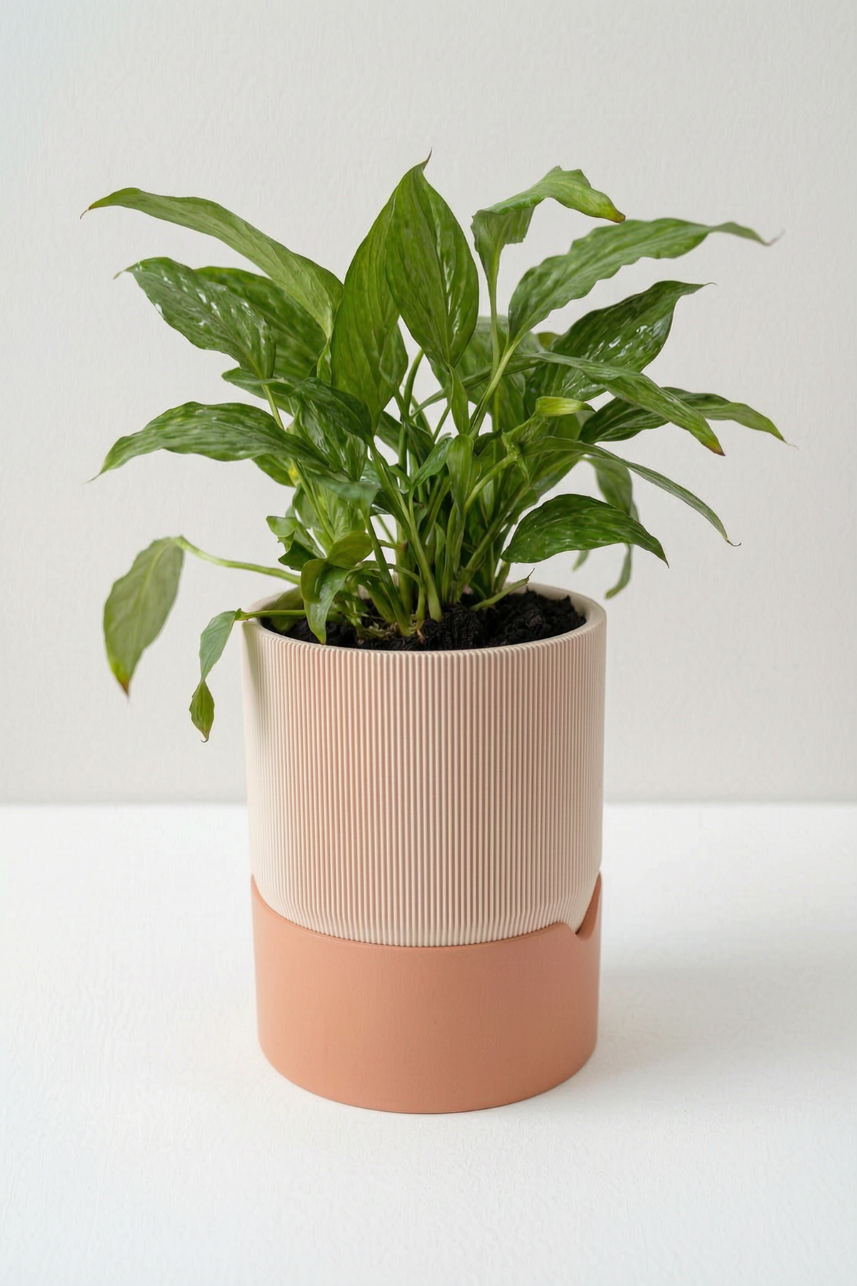 AQUIA Self-Watering Planter