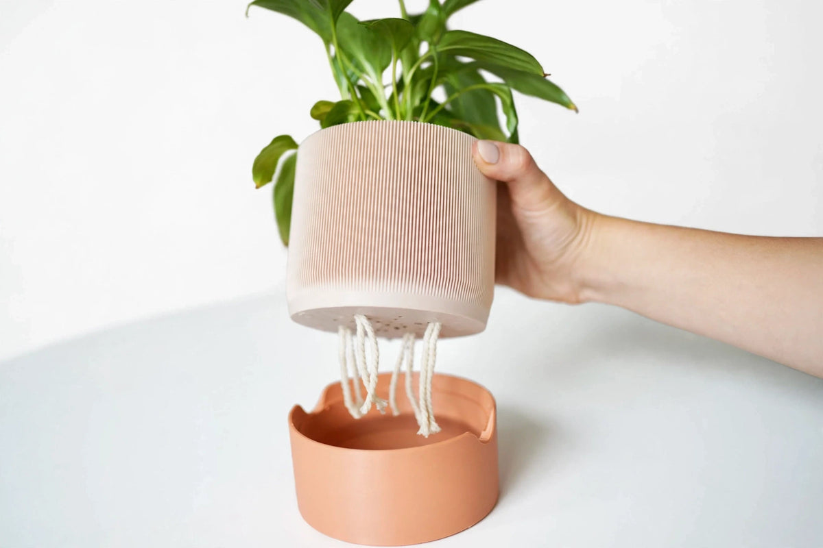 AQUIA Self-Watering Planter