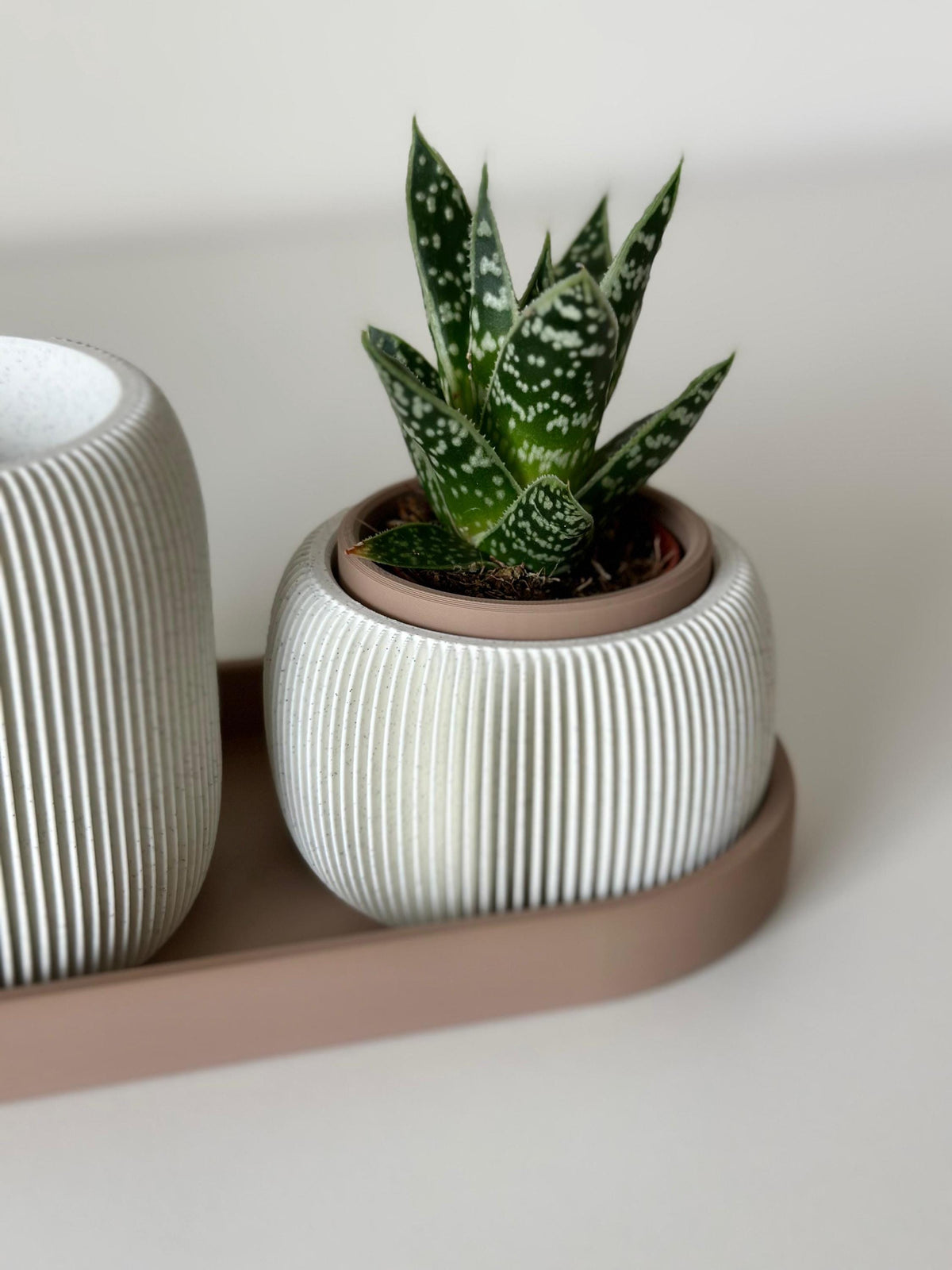 Minimalist Desk Organizer - Pen Holder with Planter