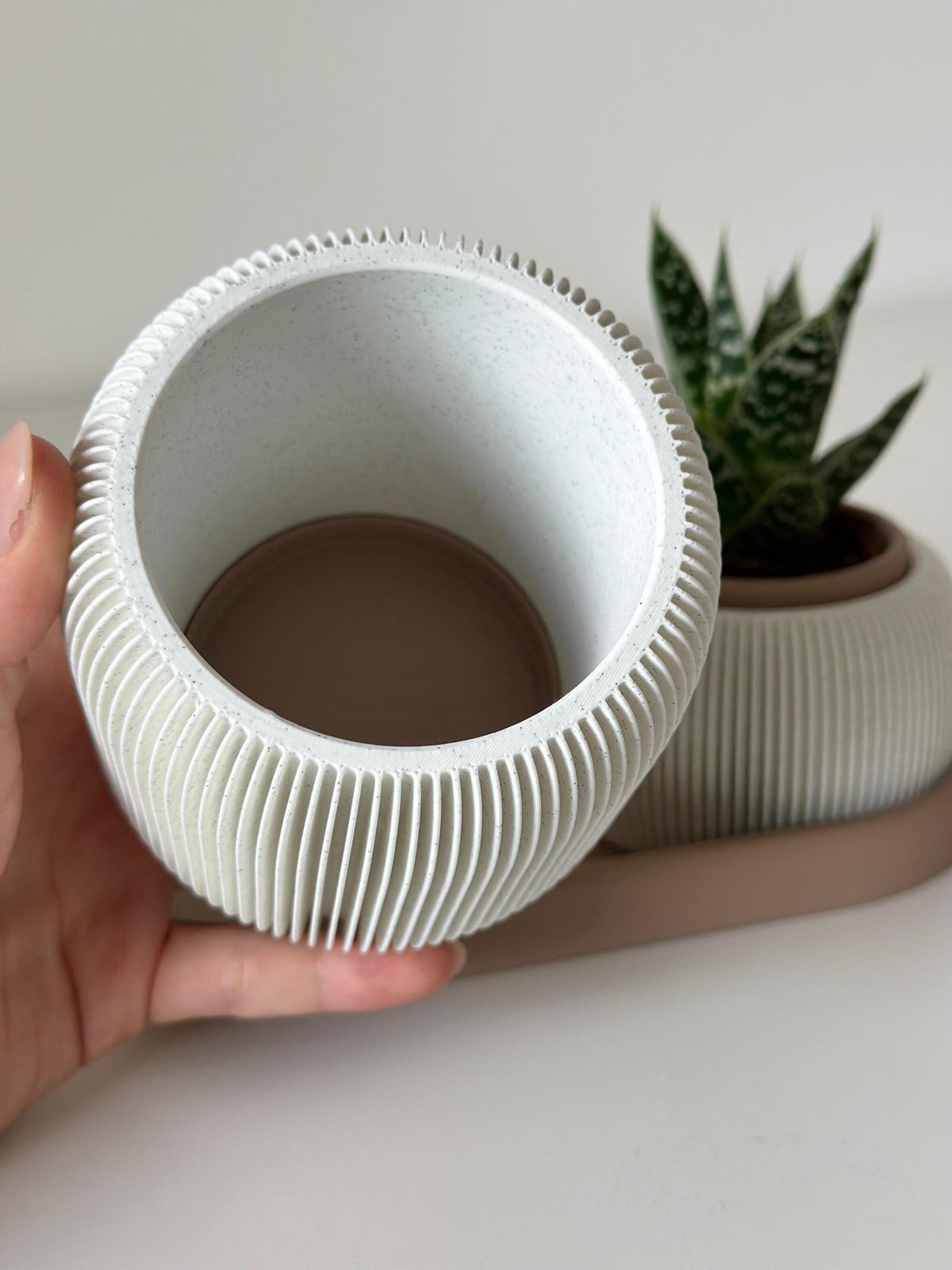 Minimalist Desk Organizer - Pen Holder with Planter