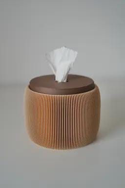 Toilet Paper Dispenser: Modern Desk & Bathroom Decor