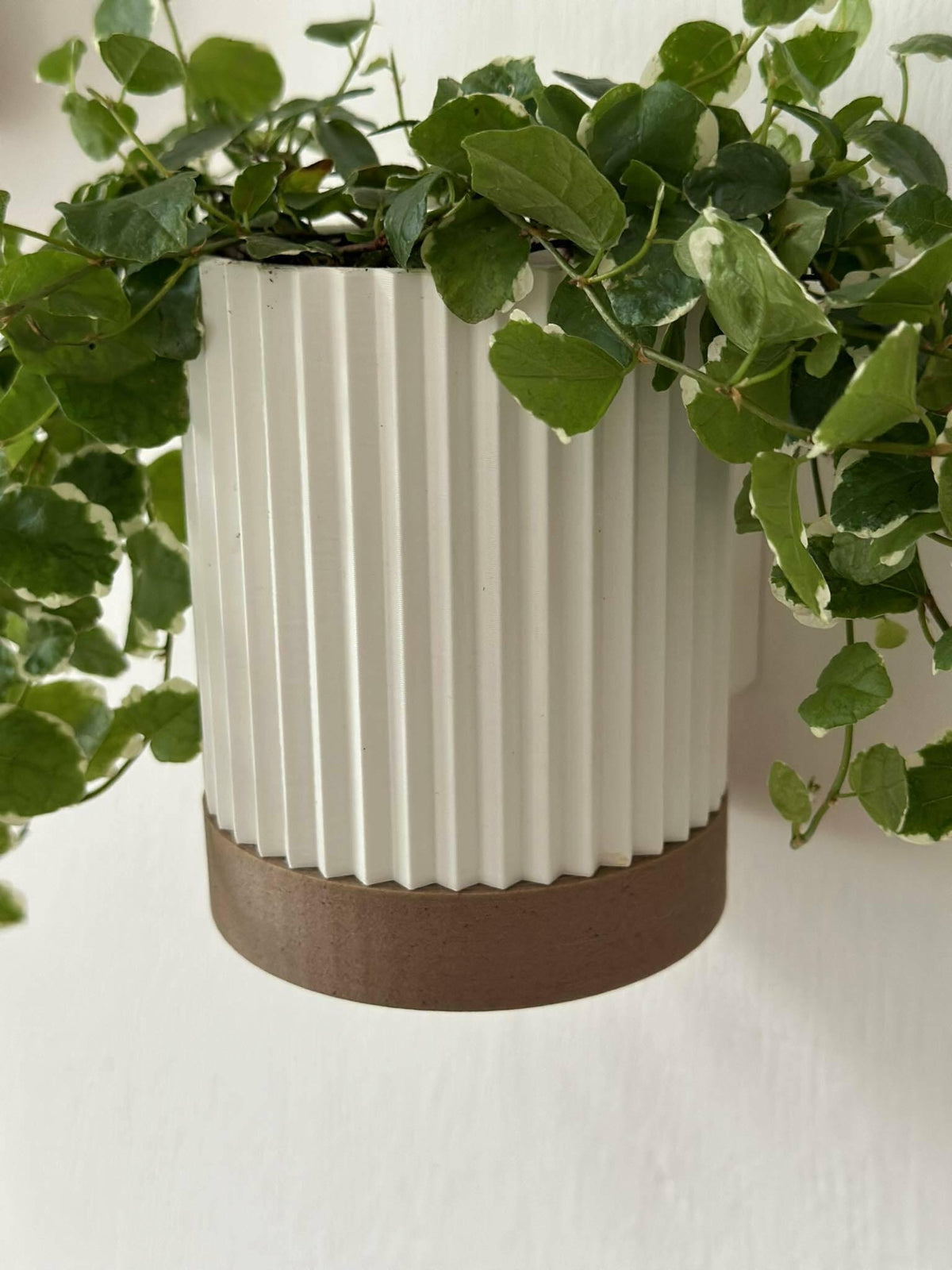 Modern Wall Planter , Wavy Textured Design planter, Indoor Vertical Plant Pot