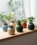 Egg-shaped ribbed planter for Succulents & Small Indoor Plants