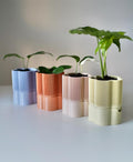 Flollia Self-Watering Planter , Modern Flower-Shaped Indoor Pot with Built-In Water Reservoir