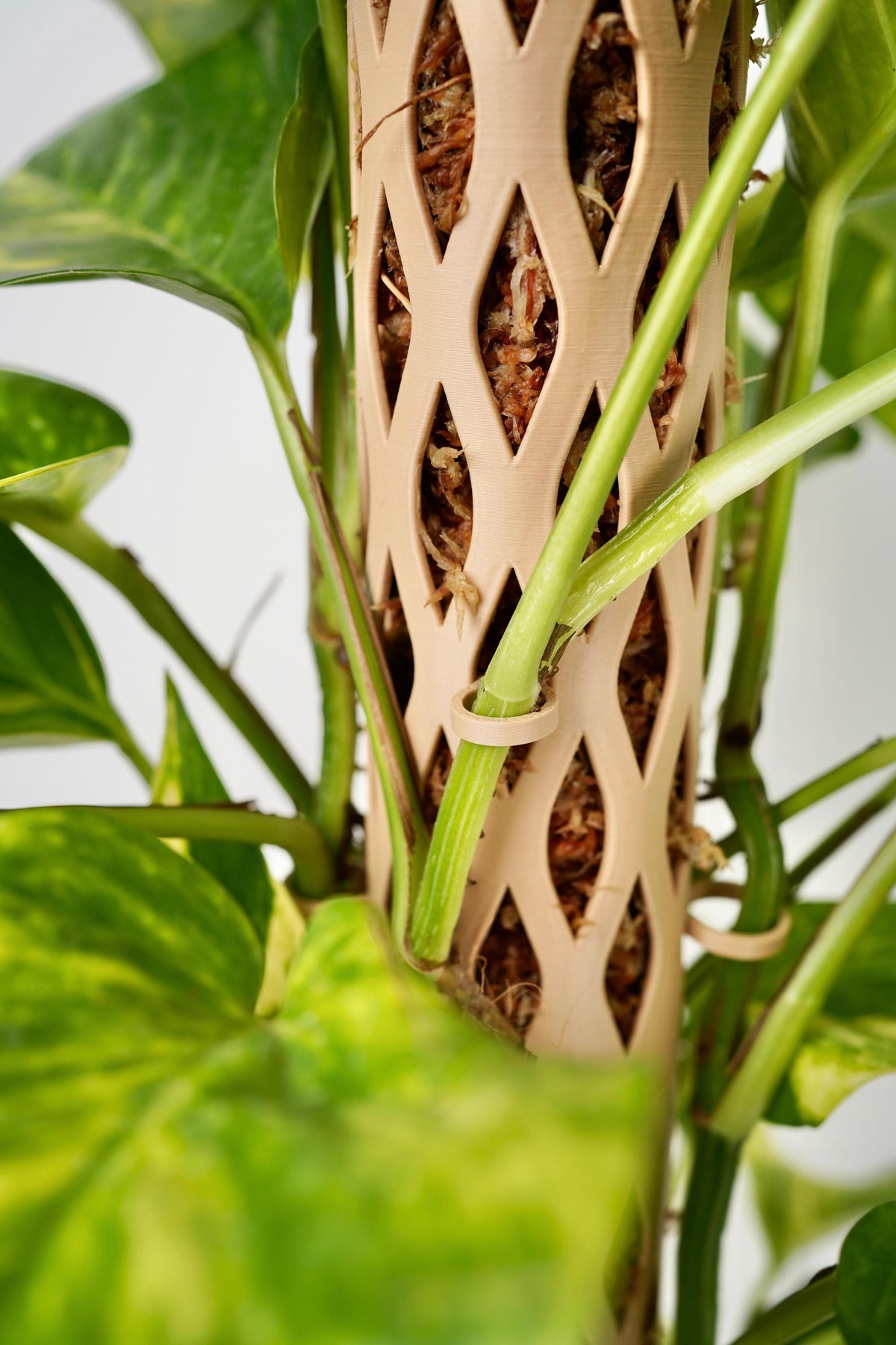 Stackable Moss Pole, Self-Watering Plant Tower, Climbing Plant Support
