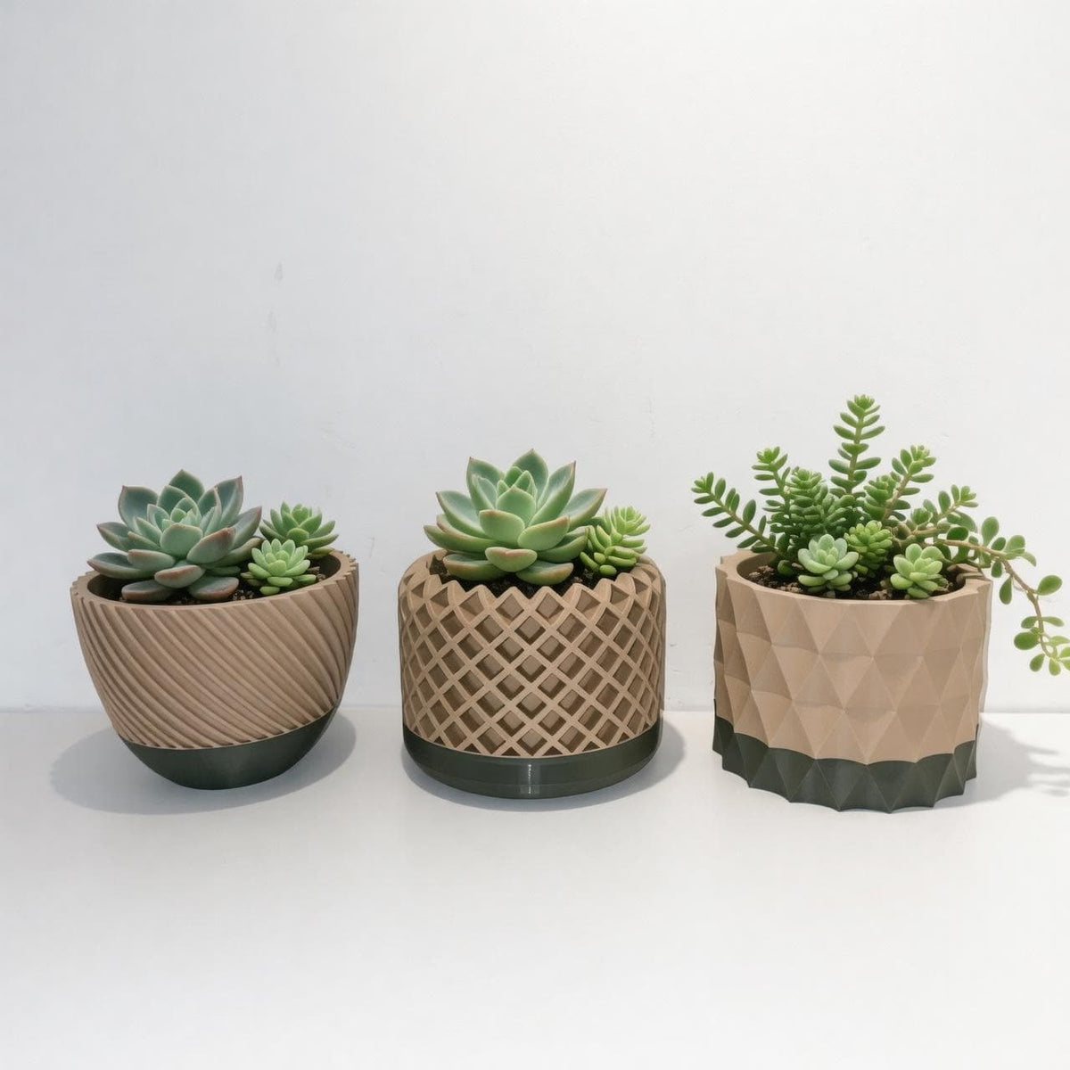 Modern Geometric Succulent Planter Set - Textured Duo-Tone Indoor Plant Pots