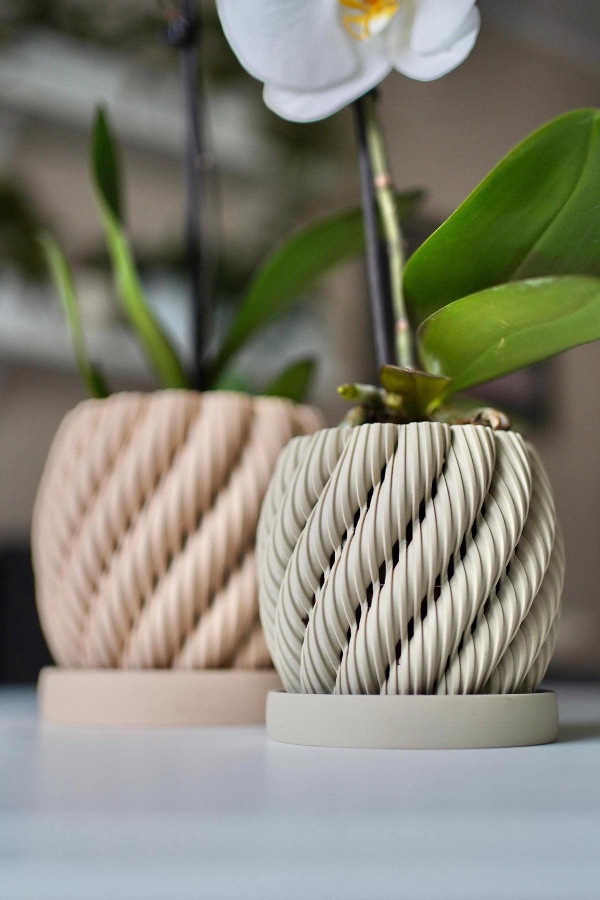 Orchid Planter with drip tray