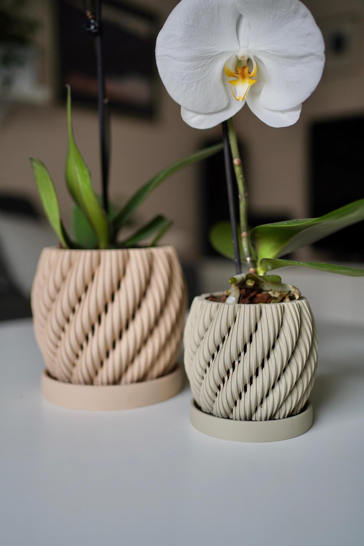 Orchid Planter with drip tray