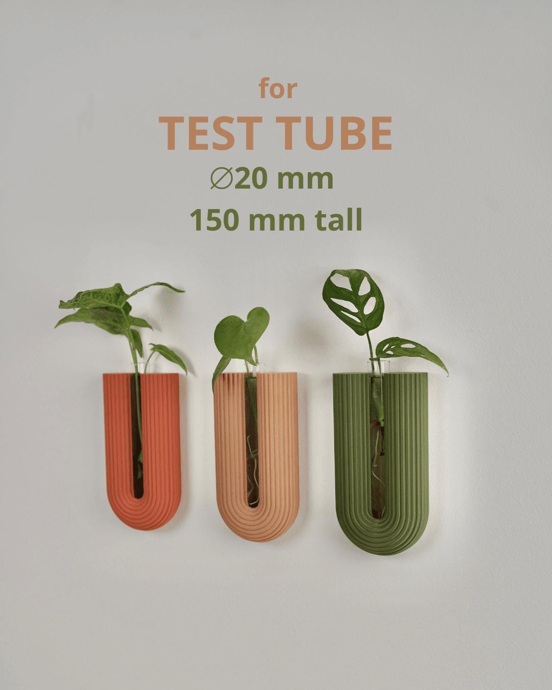Minimalist Wall Vase, 3D Printed Propagation Station, Plant Cuttings