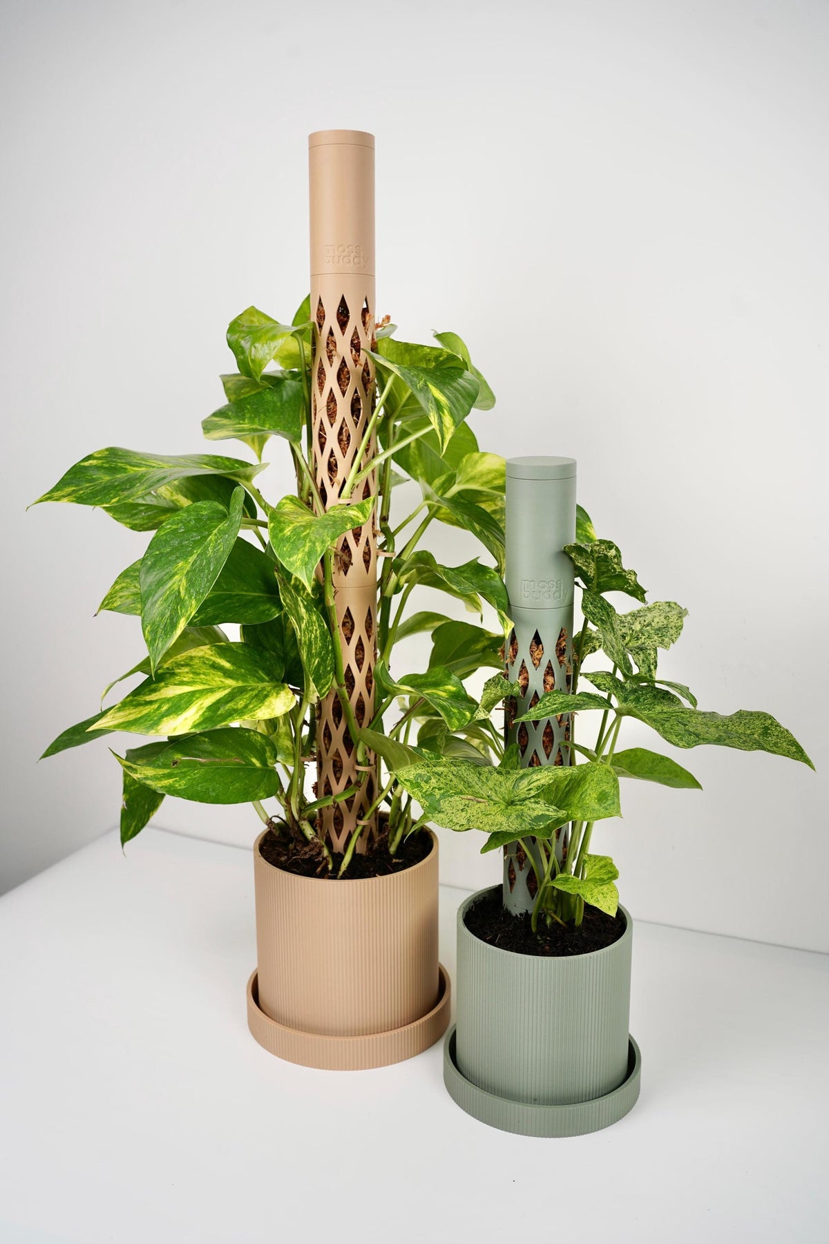 Stackable Moss Pole, Self-Watering Plant Tower, Climbing Plant Support