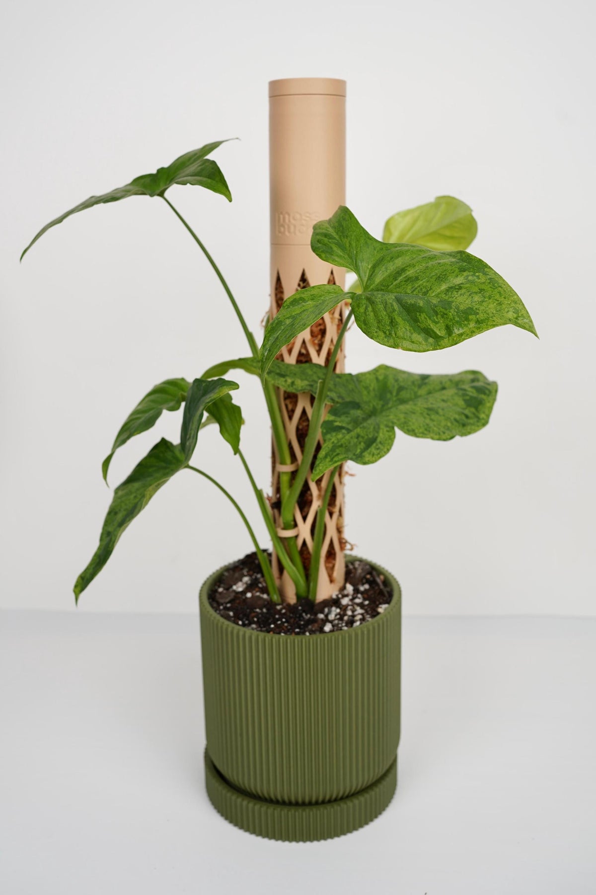 Stackable Moss Pole, Self-Watering Plant Tower, Climbing Plant Support
