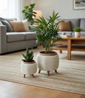 Modern Textured duo Planter Set, Minimalist Home Decor, 6cm & 9cm diameter