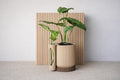 Modern Planter with Propagation Tube, Minimalist Shelf Decor
