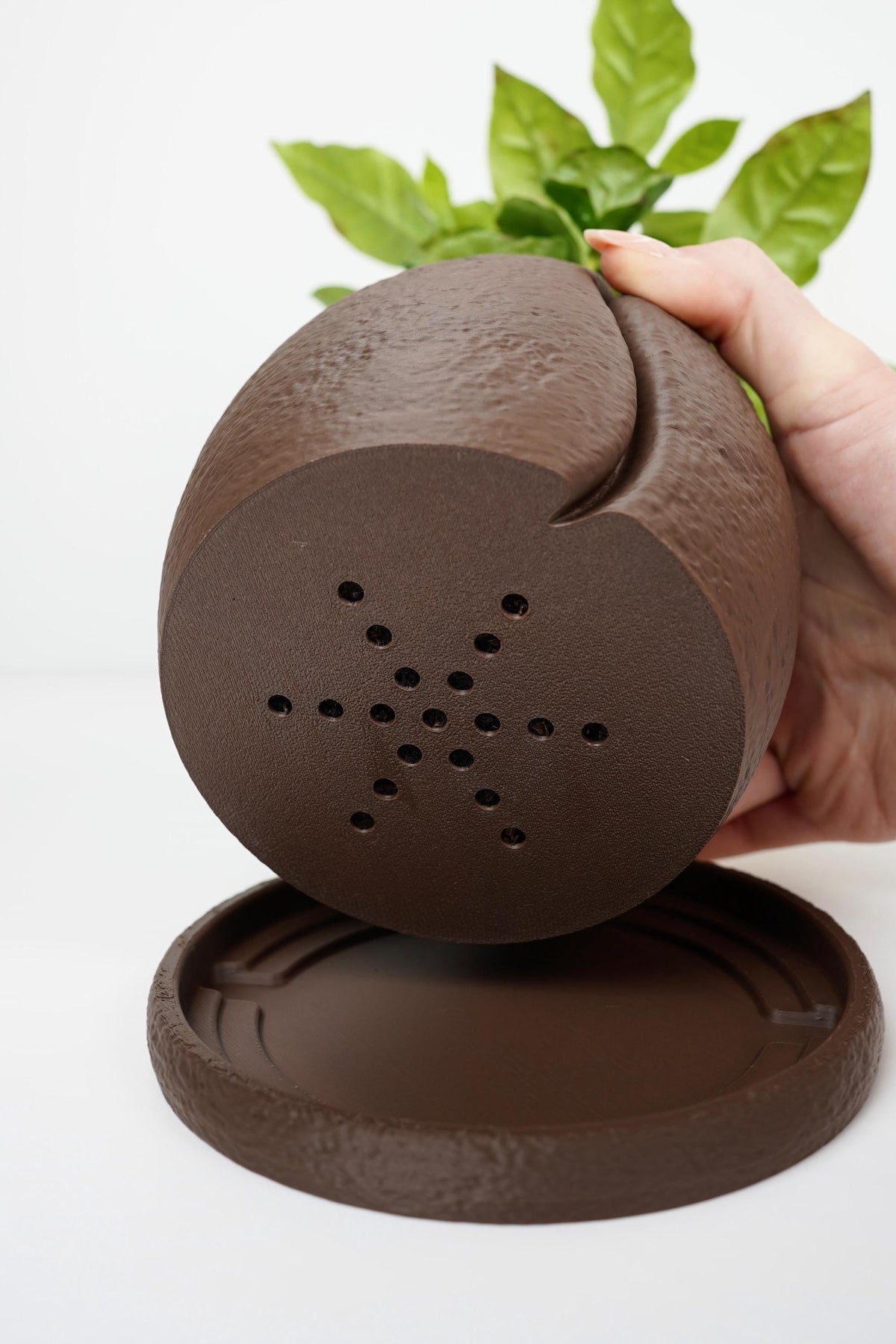 Coffee Bean Planter | Textured Indoor Pot with Saucer (13.5cm)
