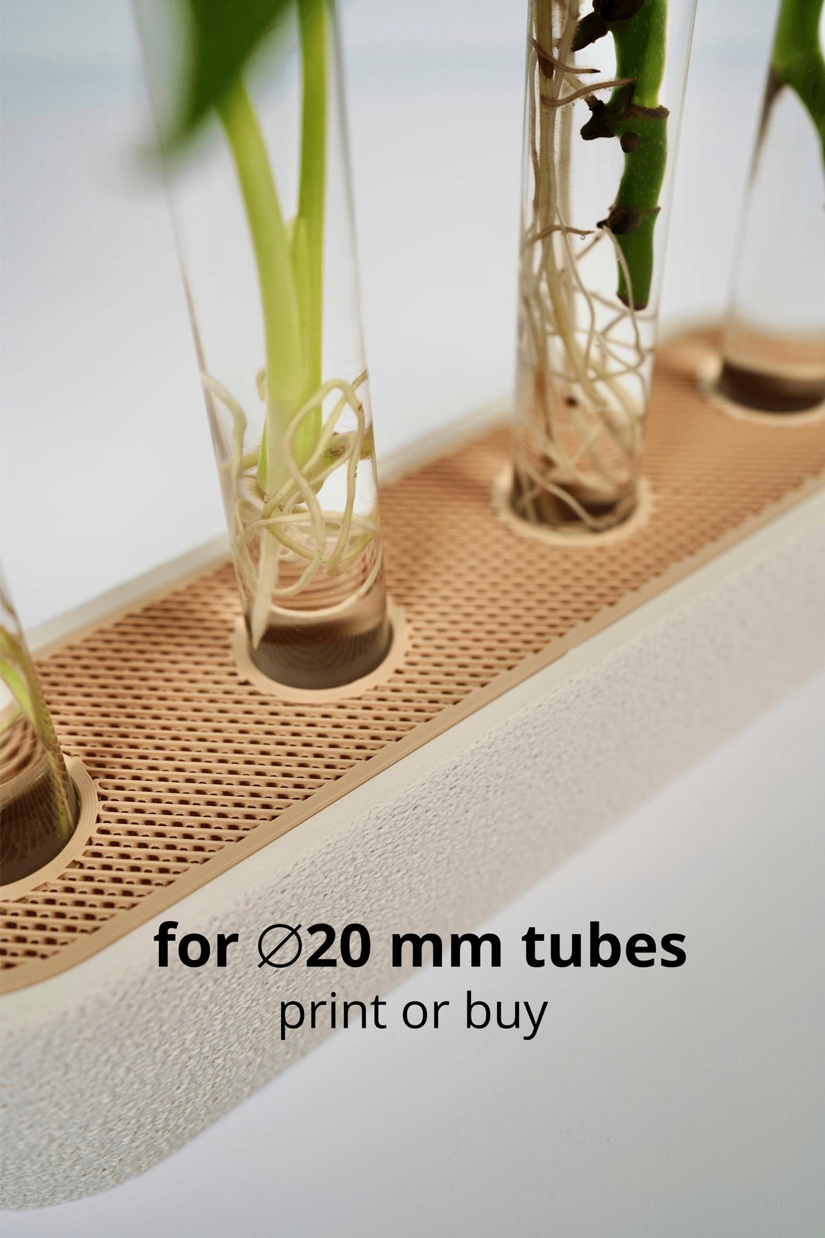 Modern plant propagation station , Test Tube Holder for Plant Cuttings and Minimalist Desk Decor
