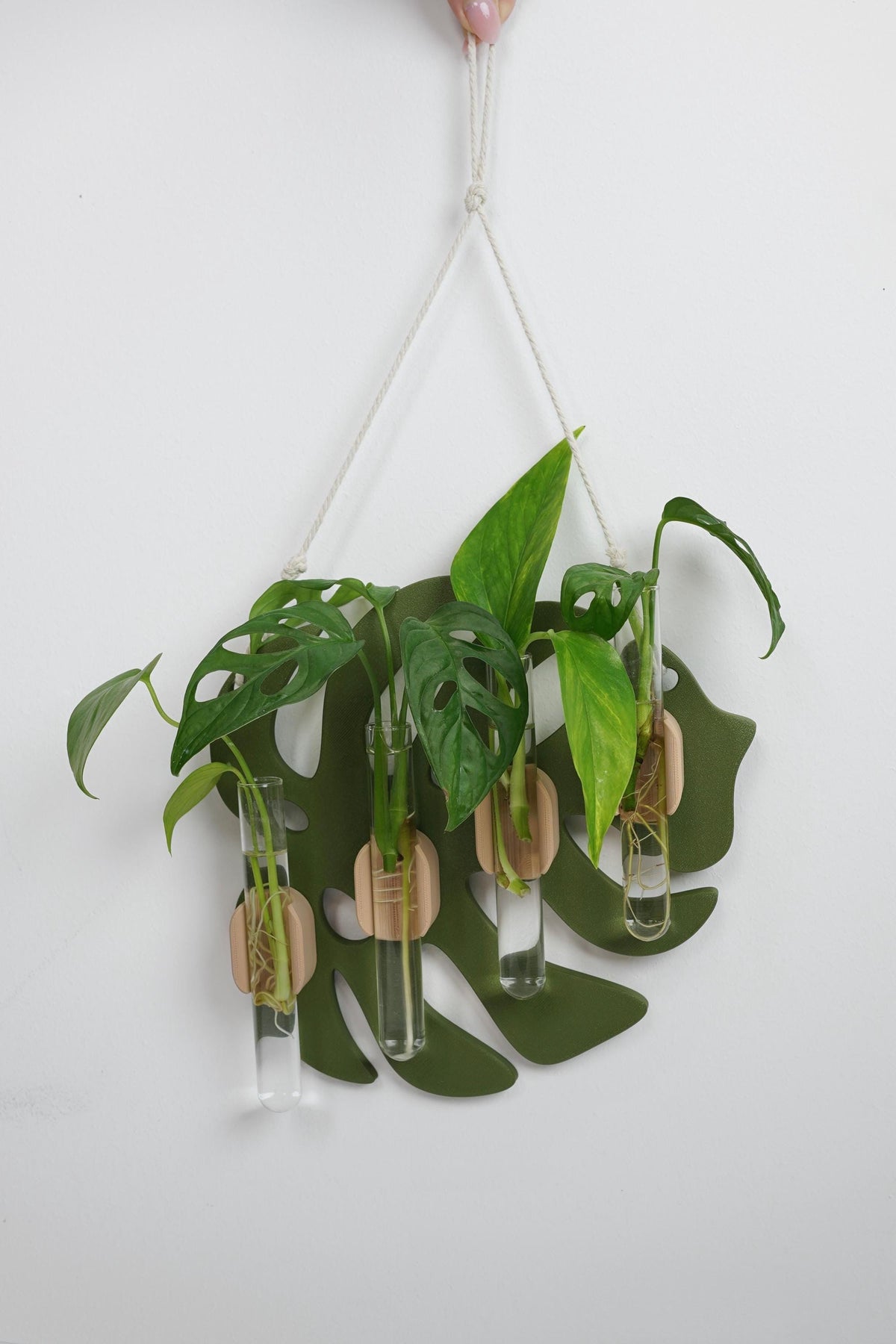 Modern Monstera Leaf Wall Propagation Holder - Minimalist Plant Display