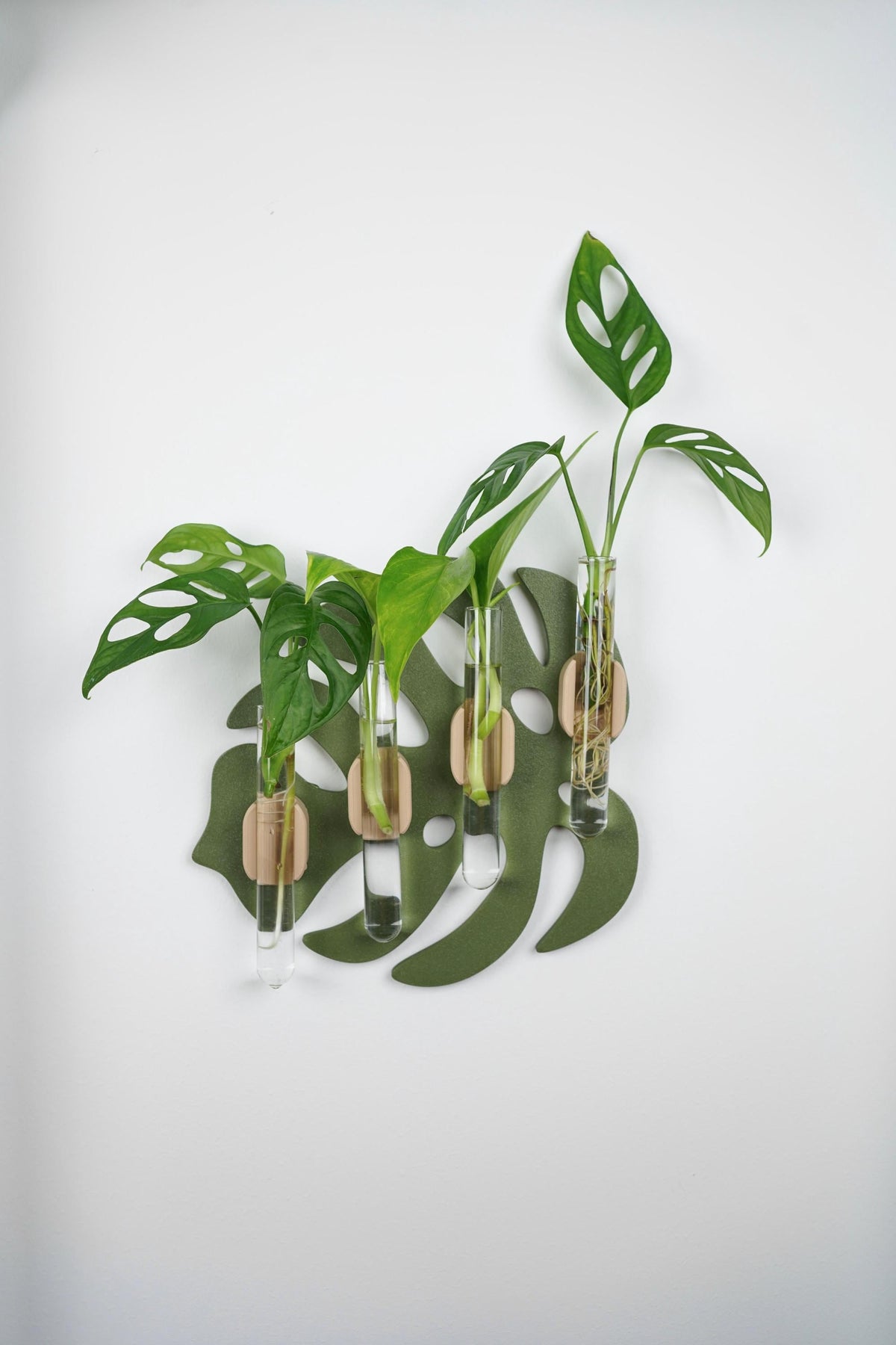 Modern Monstera Leaf Wall Propagation Holder - Minimalist Plant Display