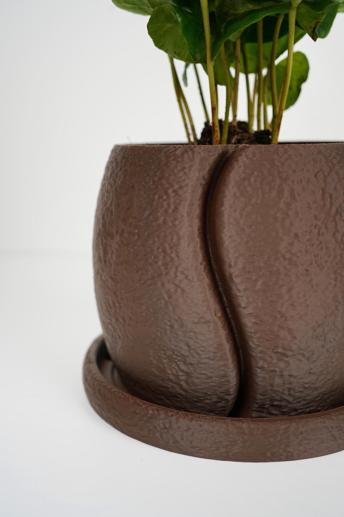 Coffee Bean Planter | Textured Indoor Pot with Saucer (13.5cm)