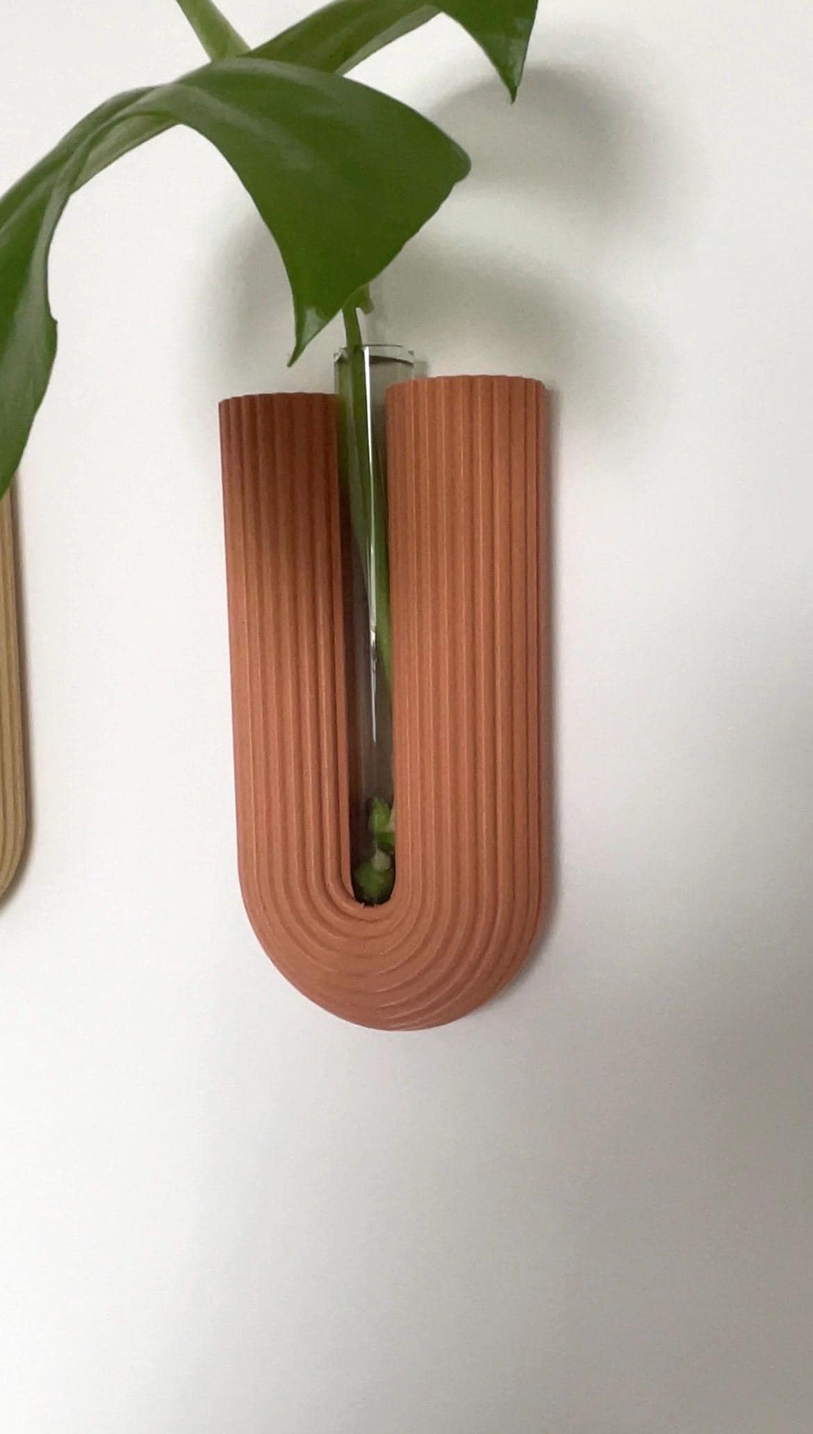 Minimalist Wall Vase, 3D Printed Propagation Station, Plant Cuttings