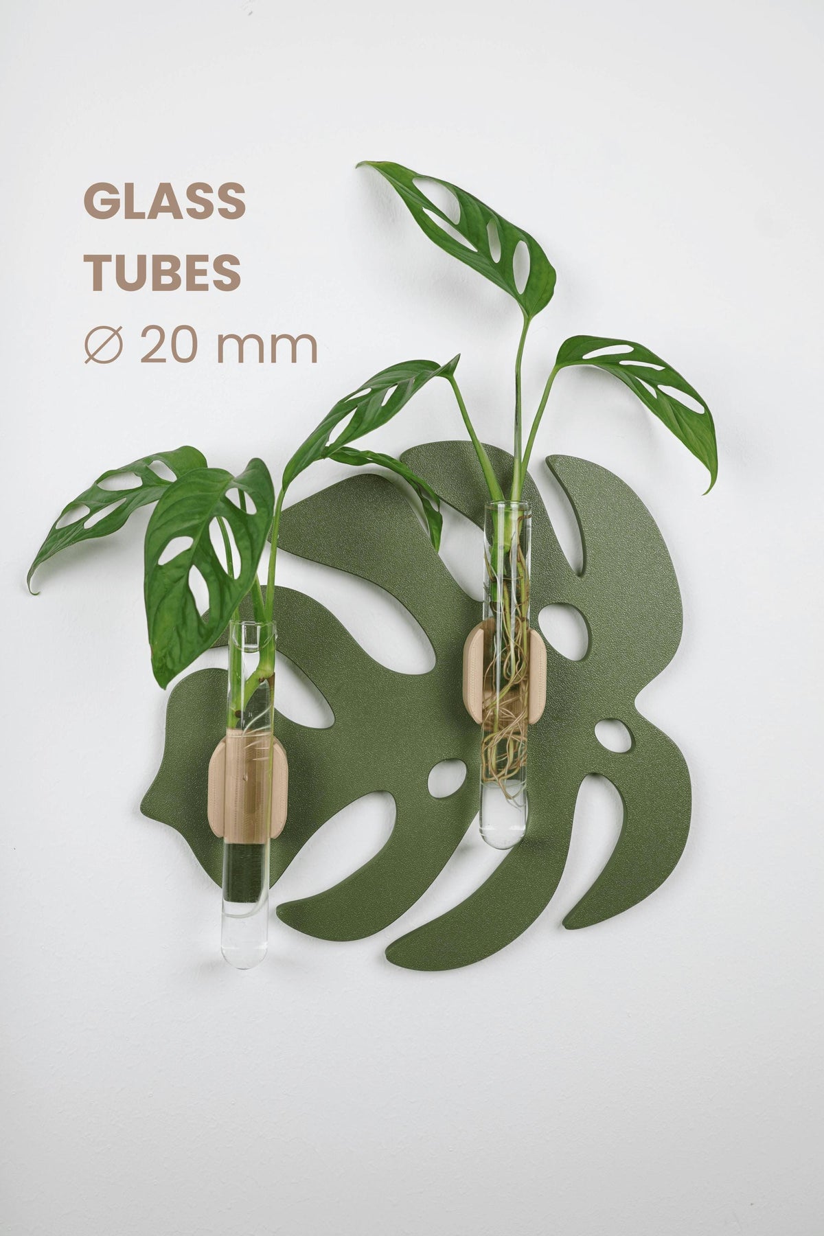 Modern Monstera Leaf Wall Propagation Holder - Minimalist Plant Display