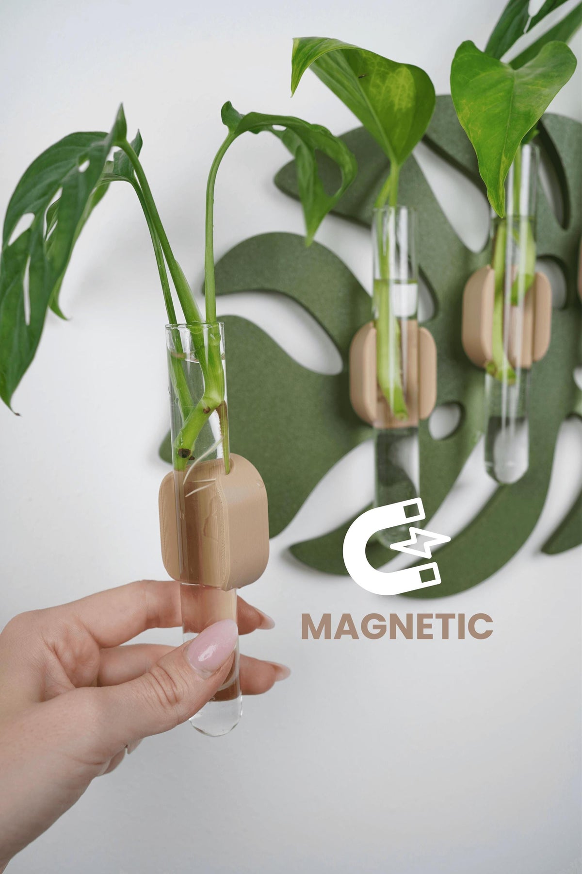 Modern Monstera Leaf Wall Propagation Holder - Minimalist Plant Display