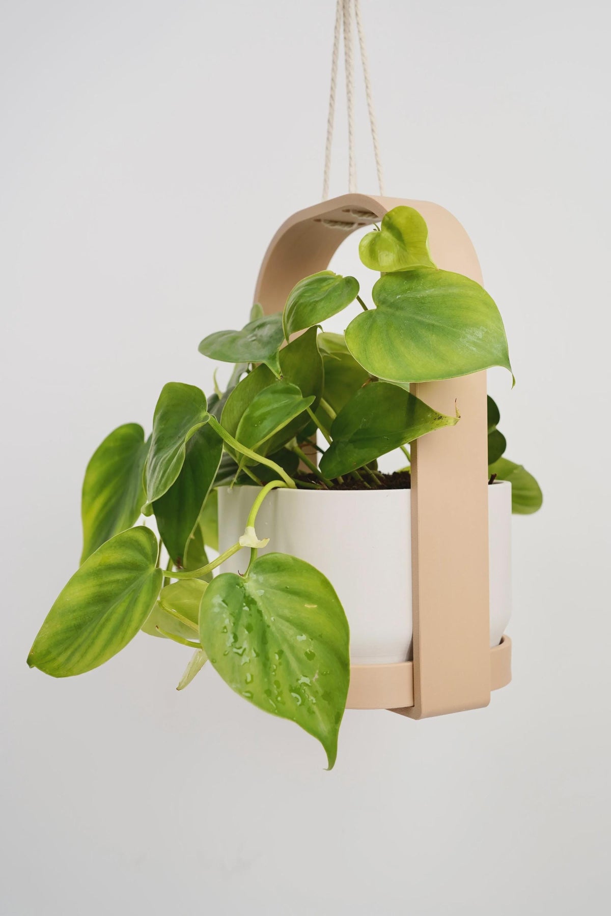 Modern Hanging Planter with Drip Tray | Scandinavian Minimalist Plant Pot