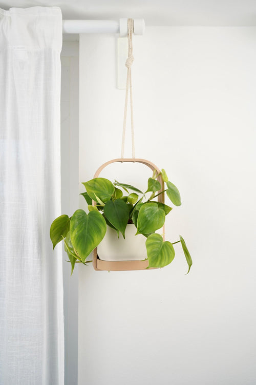Modern Hanging Planter with Drip Tray | Scandinavian Minimalist Plant Pot
