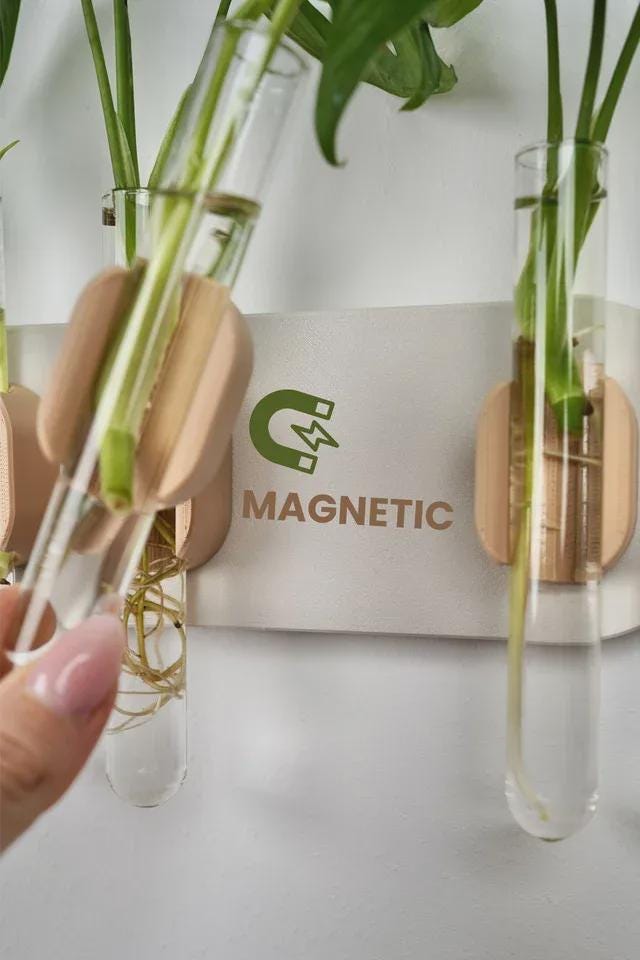 Wall-Mounted Test Tube Holder | Japandi Plant Propagation Station (Set of 4)