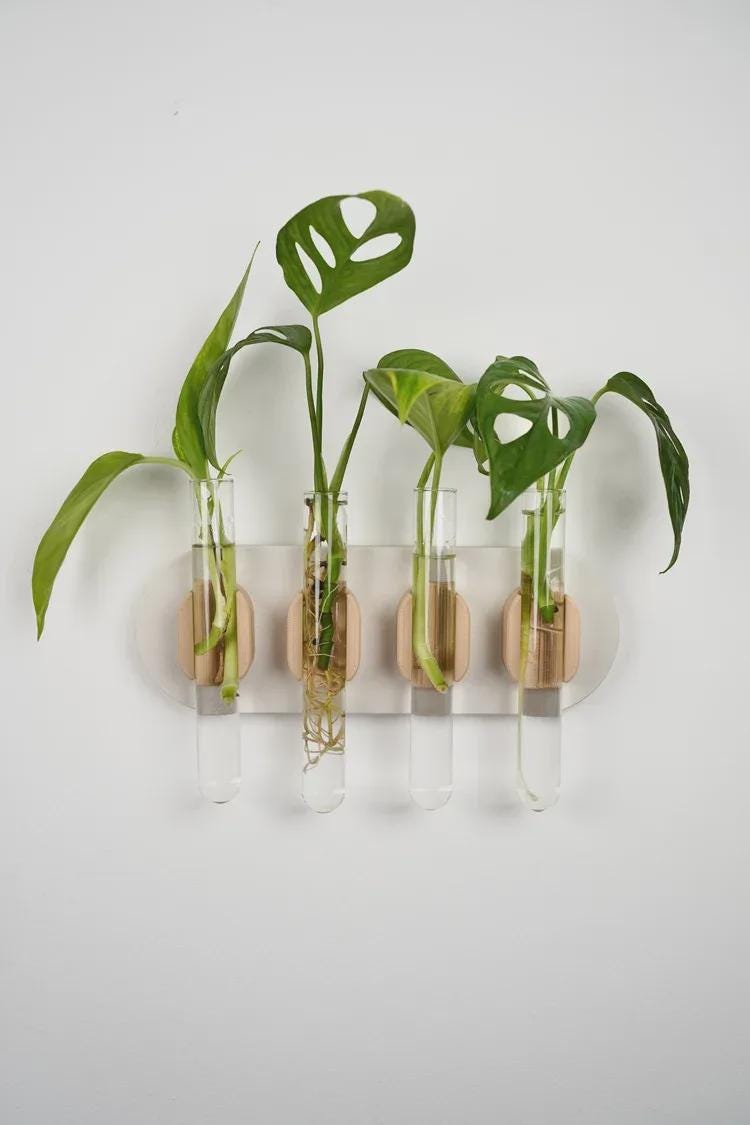 Wall-Mounted Test Tube Holder | Japandi Plant Propagation Station (Set of 4)