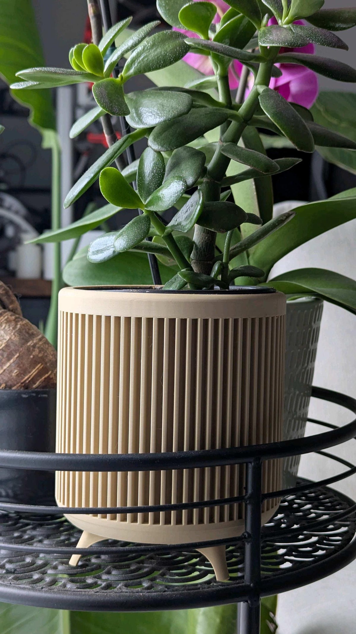 Modern mid century planter , ribbed planter with elevated stand RIVORA