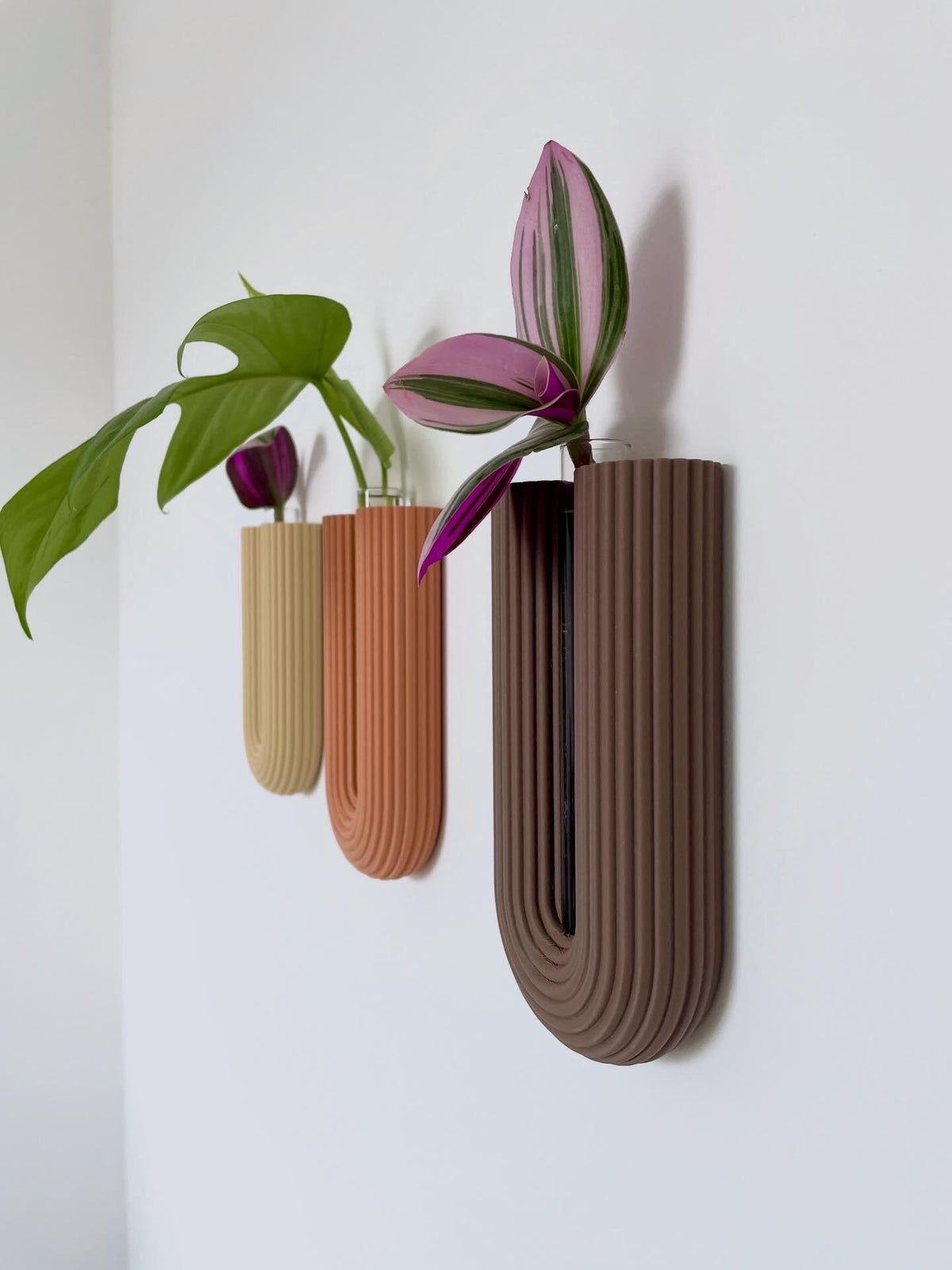 Minimalist Wall Vase, 3D Printed Propagation Station, Plant Cuttings
