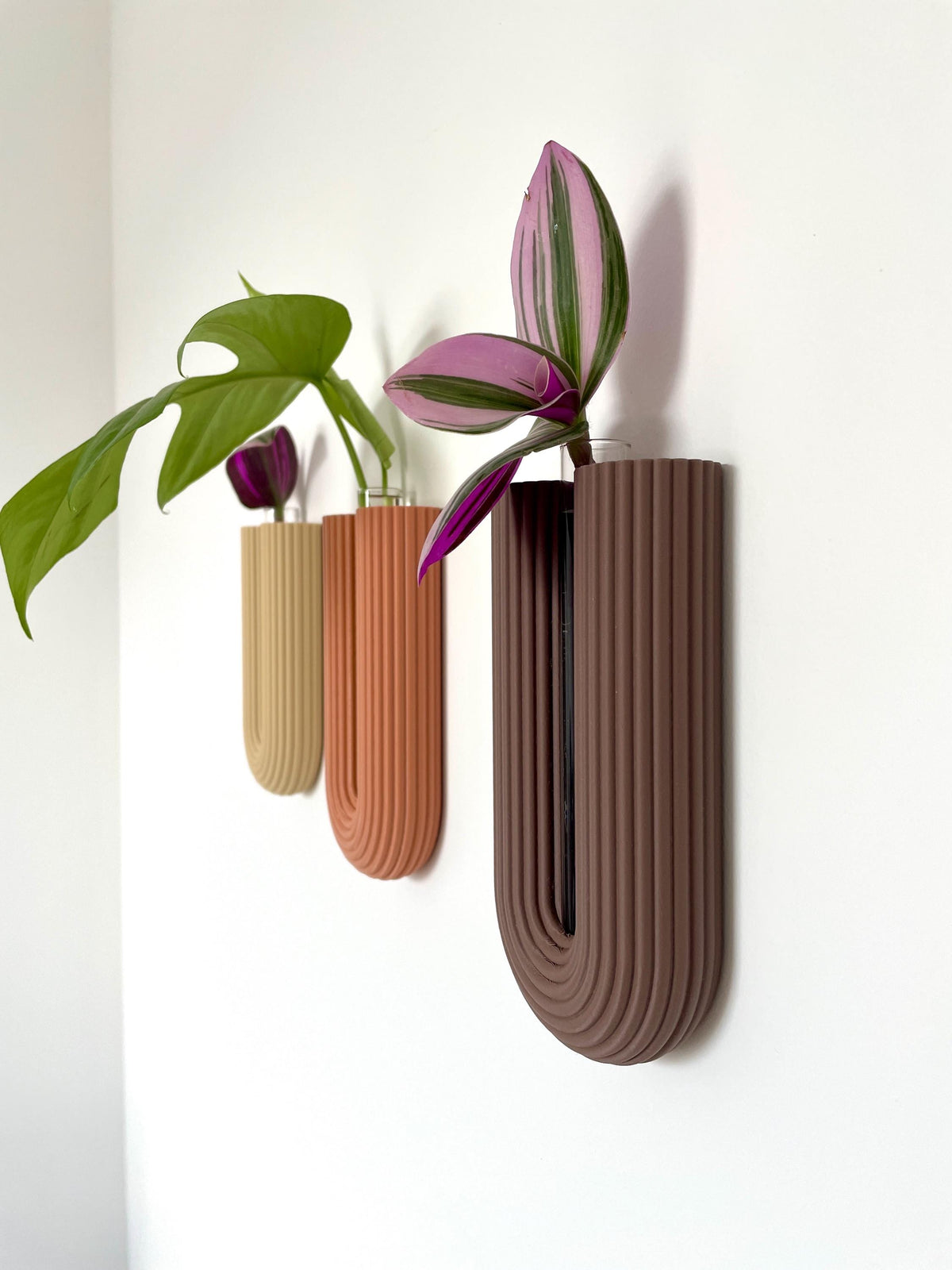 Minimalist Wall Vase, 3D Printed Propagation Station, Plant Cuttings
