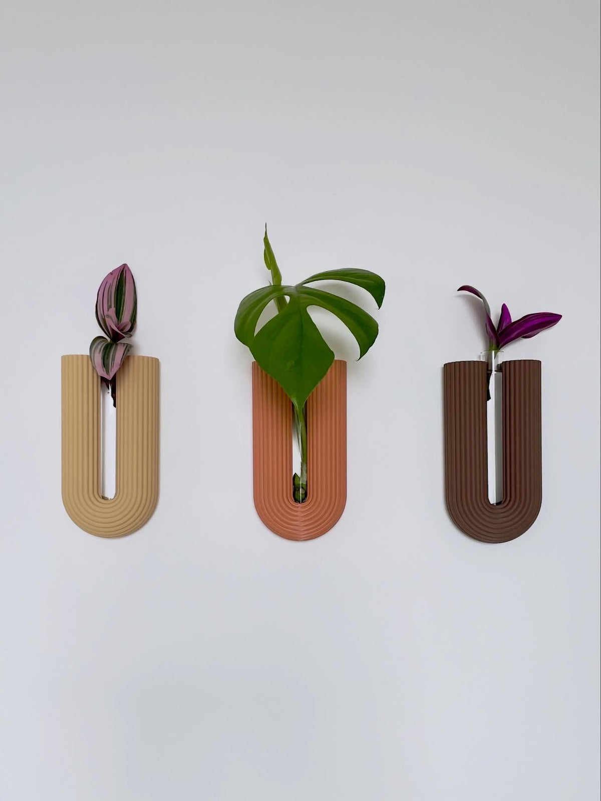 Minimalist Wall Vase, 3D Printed Propagation Station, Plant Cuttings