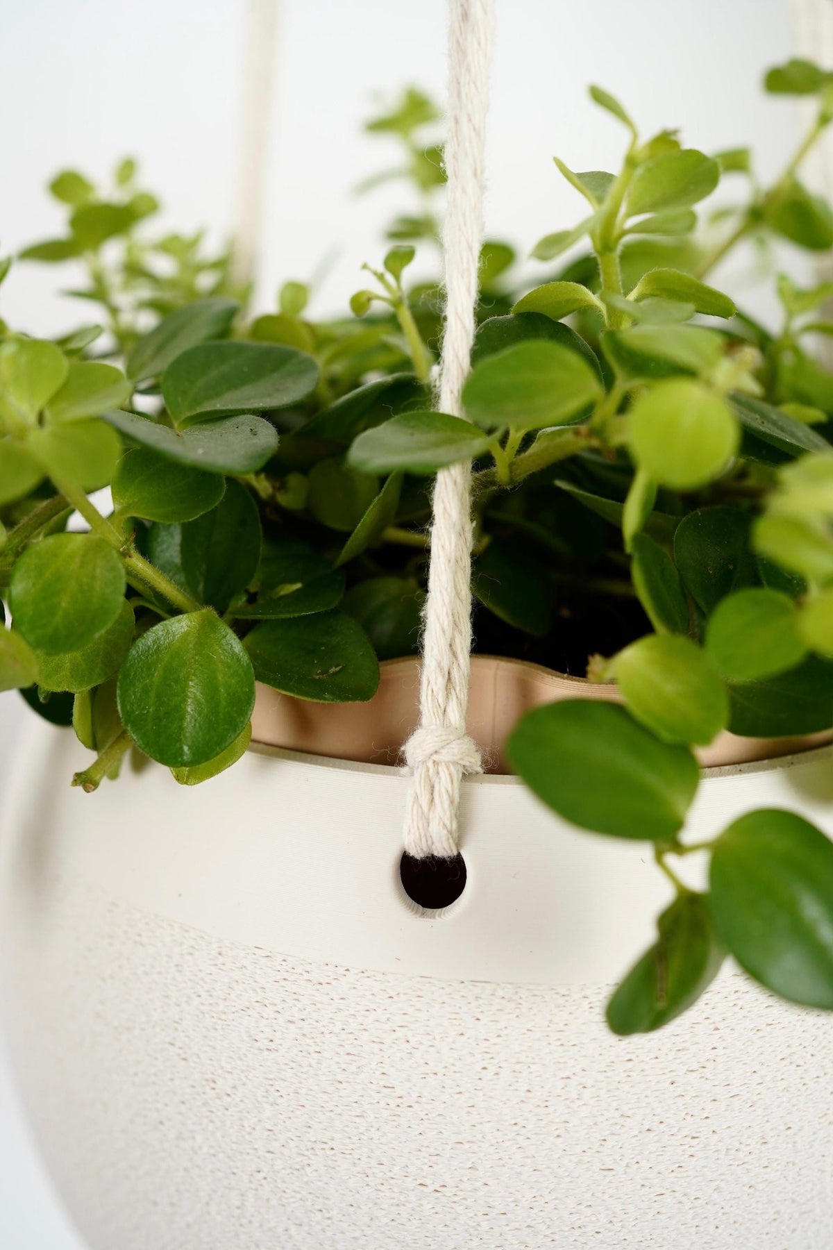 Modern Hanging Planter with Drip Tray | Scandinavian Minimalist Plant Pot