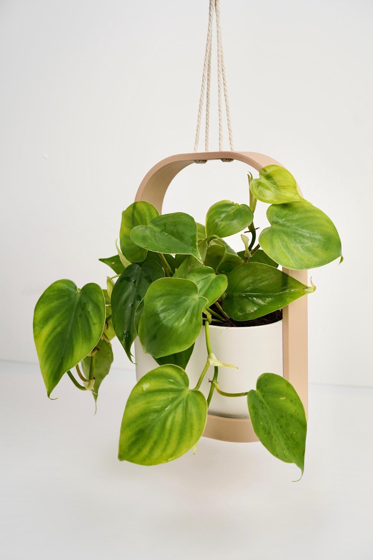 Modern Hanging Planter with Drip Tray | Scandinavian Minimalist Plant Pot