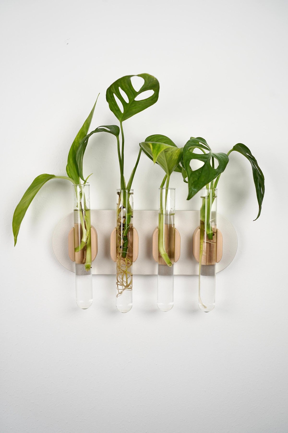 Wall-Mounted Test Tube Holder | Japandi Plant Propagation Station (Set of 4)