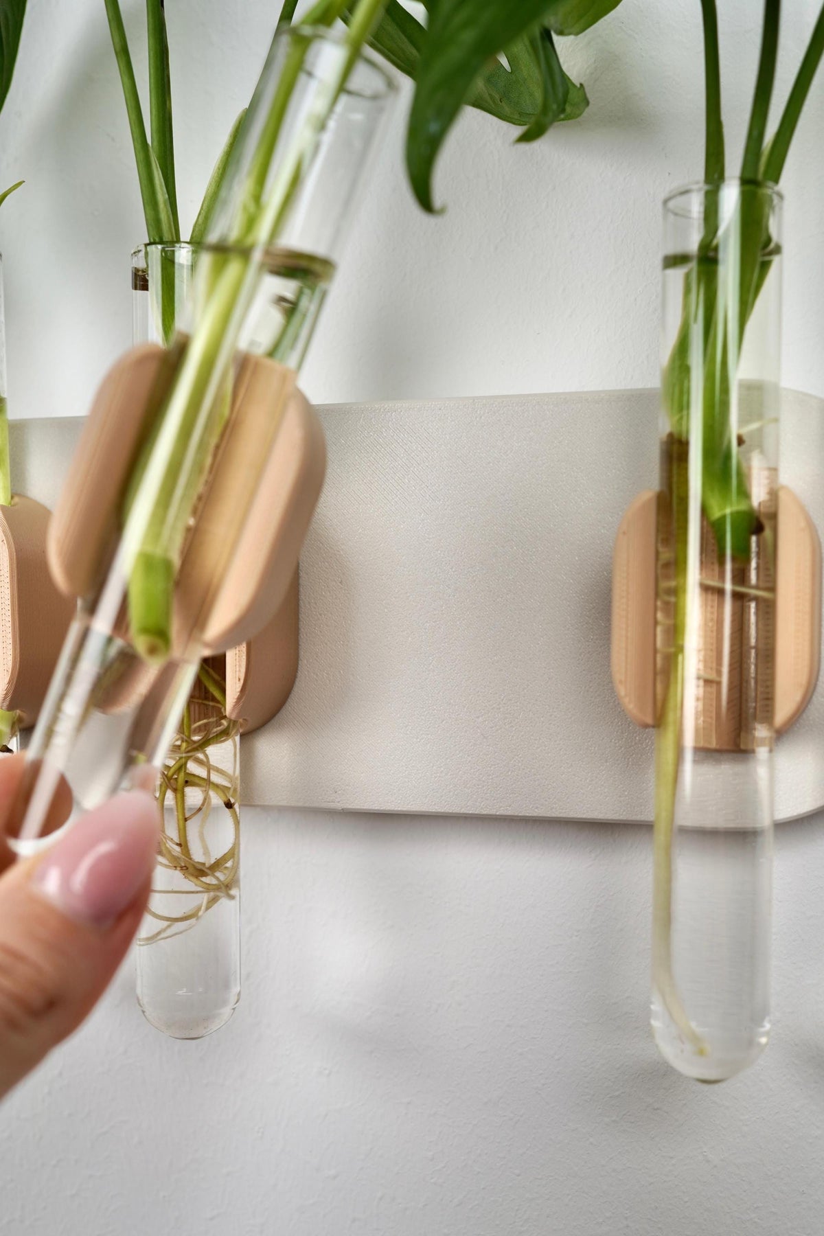 Wall-Mounted Test Tube Holder | Japandi Plant Propagation Station (Set of 4)