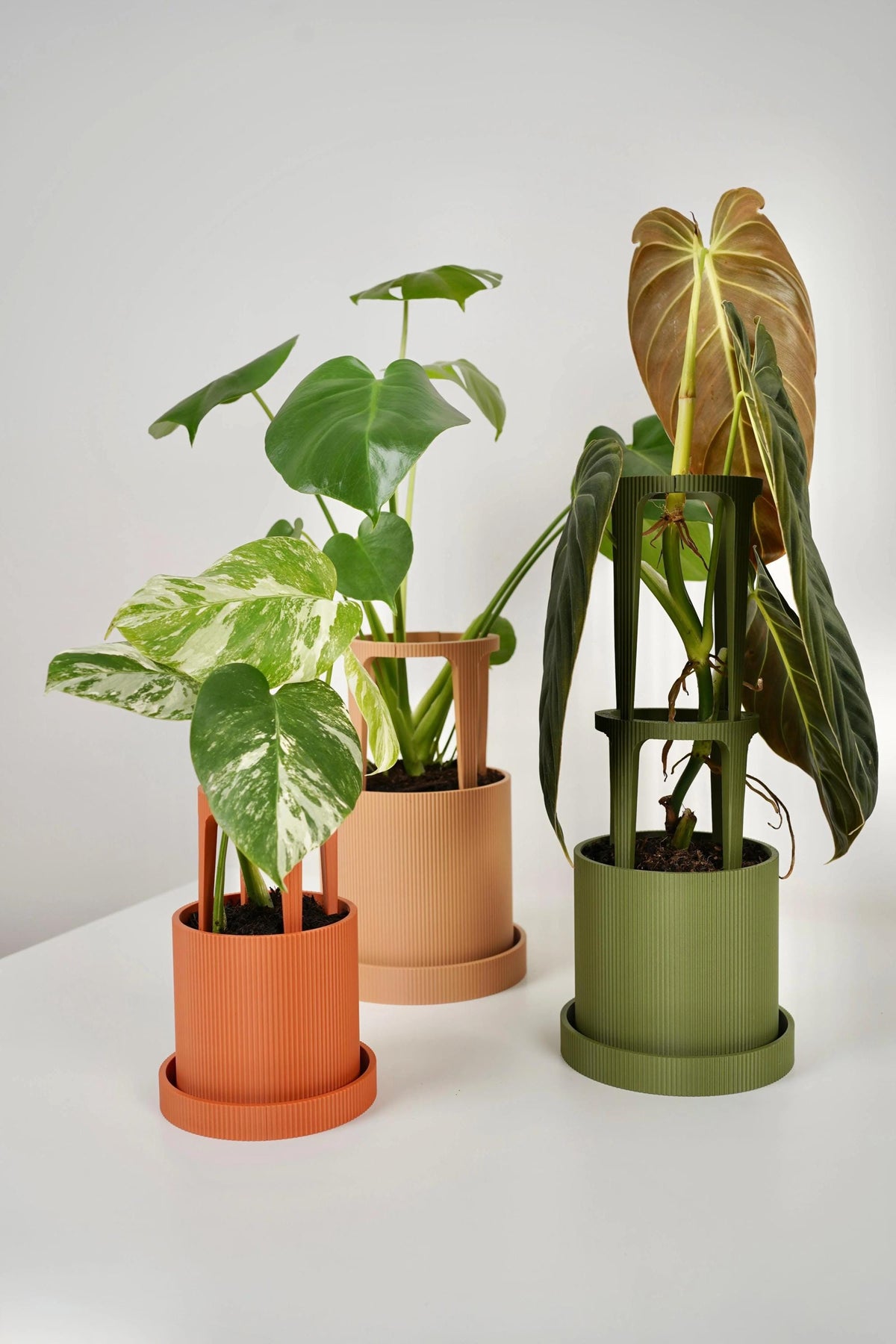 Modular Plant Pot with Support - Modern Indoor Planter with Trellis for Climbing Houseplants