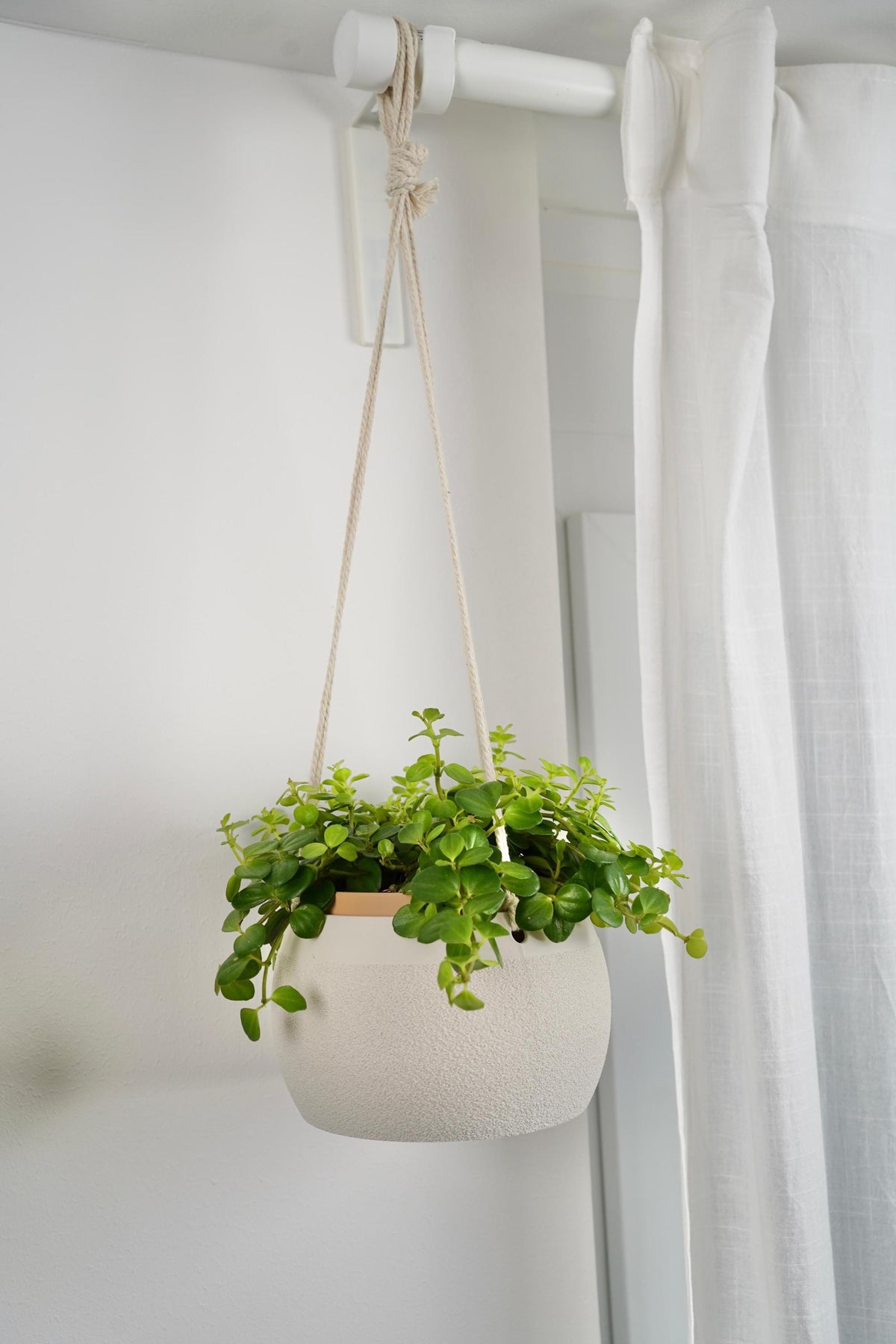 Modern Hanging Planter with Drip Tray | Scandinavian Minimalist Plant Pot