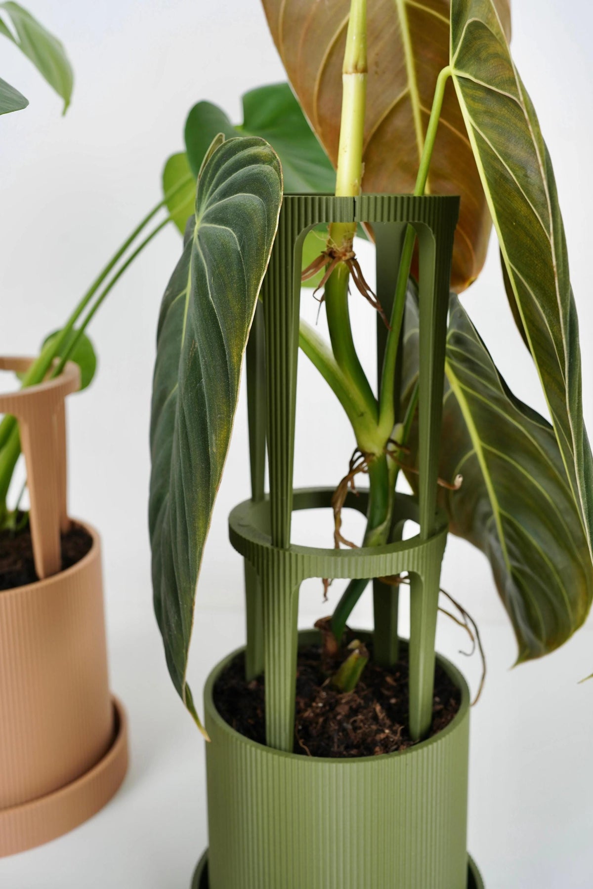 Modular Plant Pot with Support - Modern Indoor Planter with Trellis for Climbing Houseplants