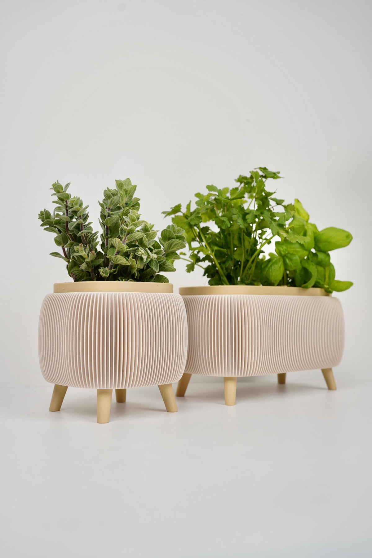 Modern duo ribbed herb planter , for basil , parsley - window sill planter