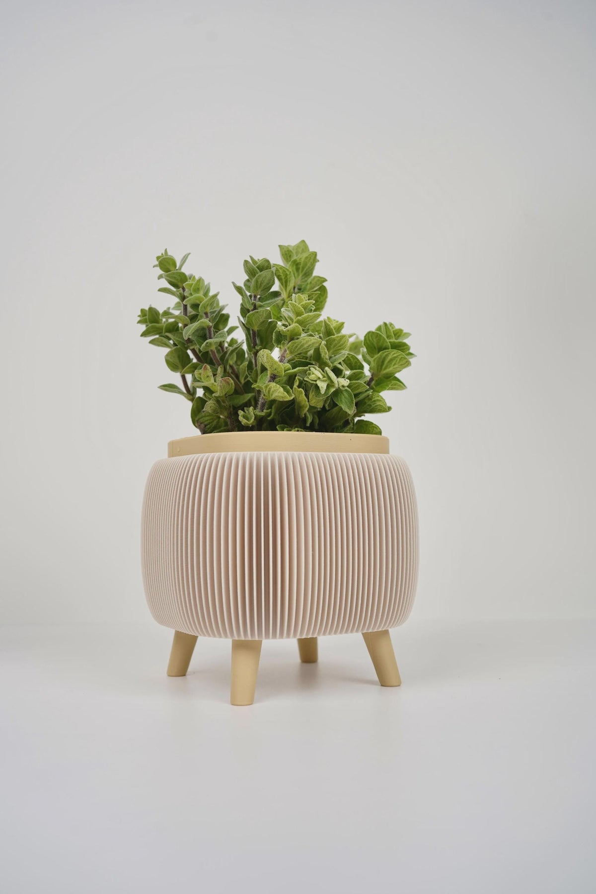 Modern duo ribbed herb planter , for basil , parsley - window sill planter