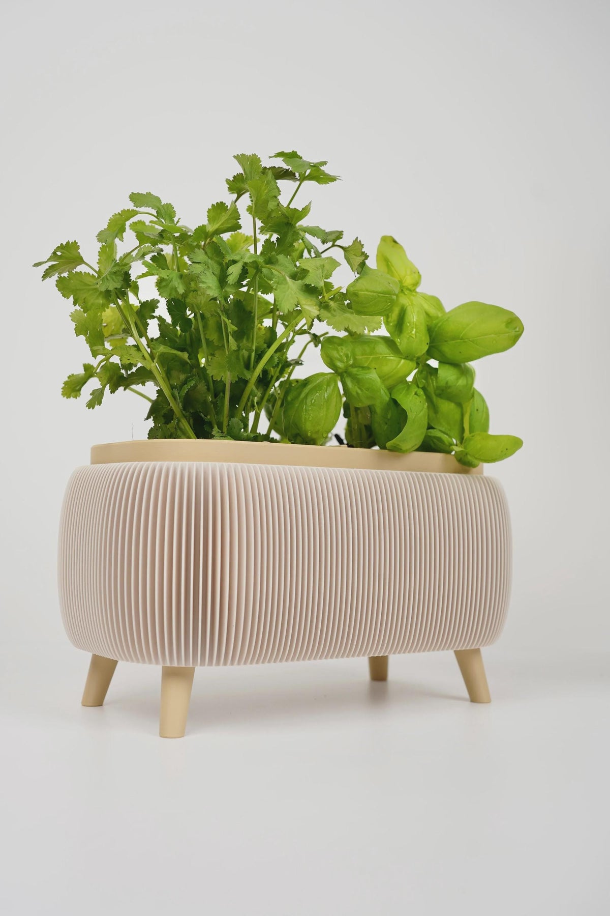 Modern duo ribbed herb planter , for basil , parsley - window sill planter
