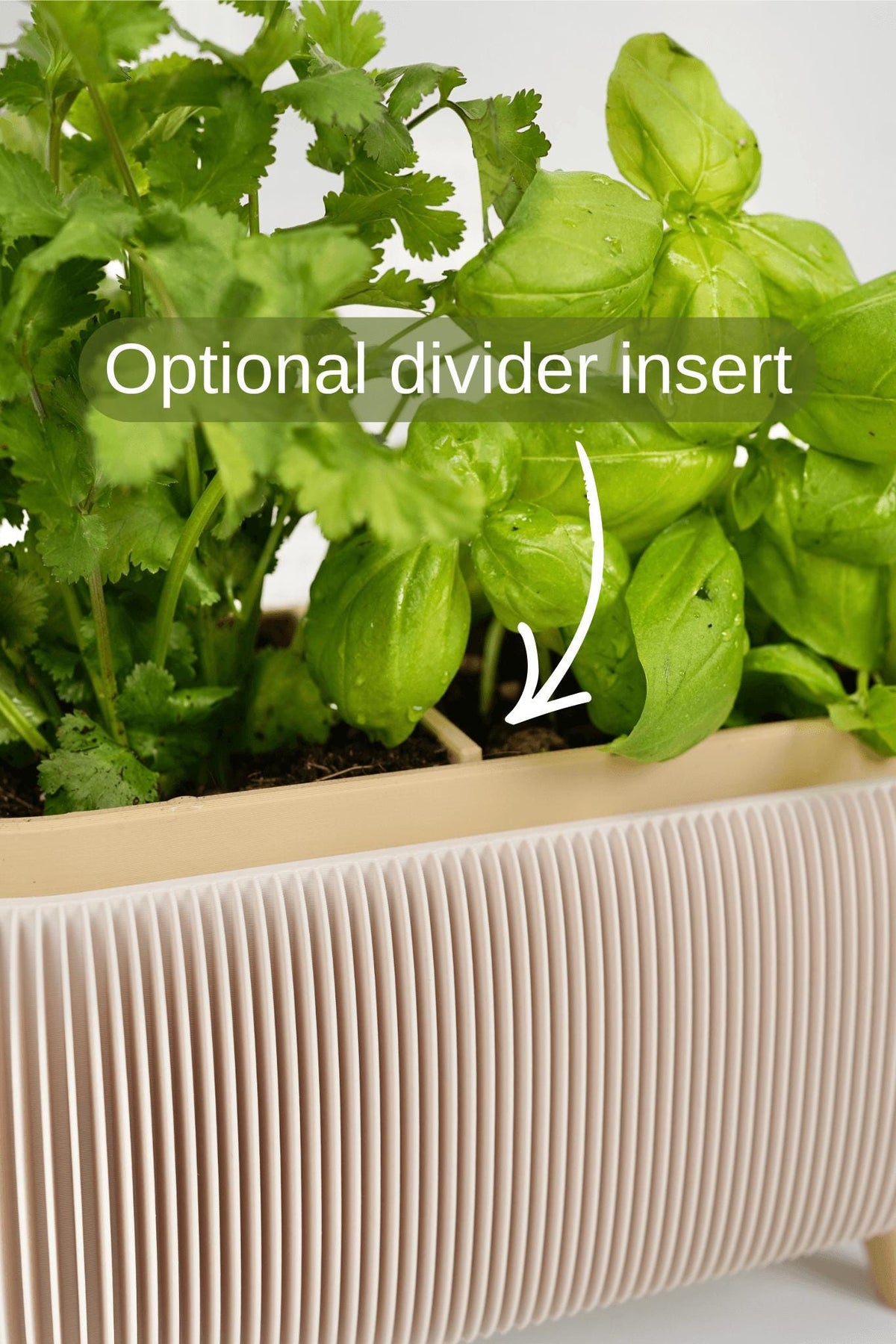 Modern duo ribbed herb planter , for basil , parsley - window sill planter
