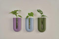 Minimalist Japandi Propagation Wall Vase , Wall Mounted Test Tube Holder , Gift for Plant Lovers