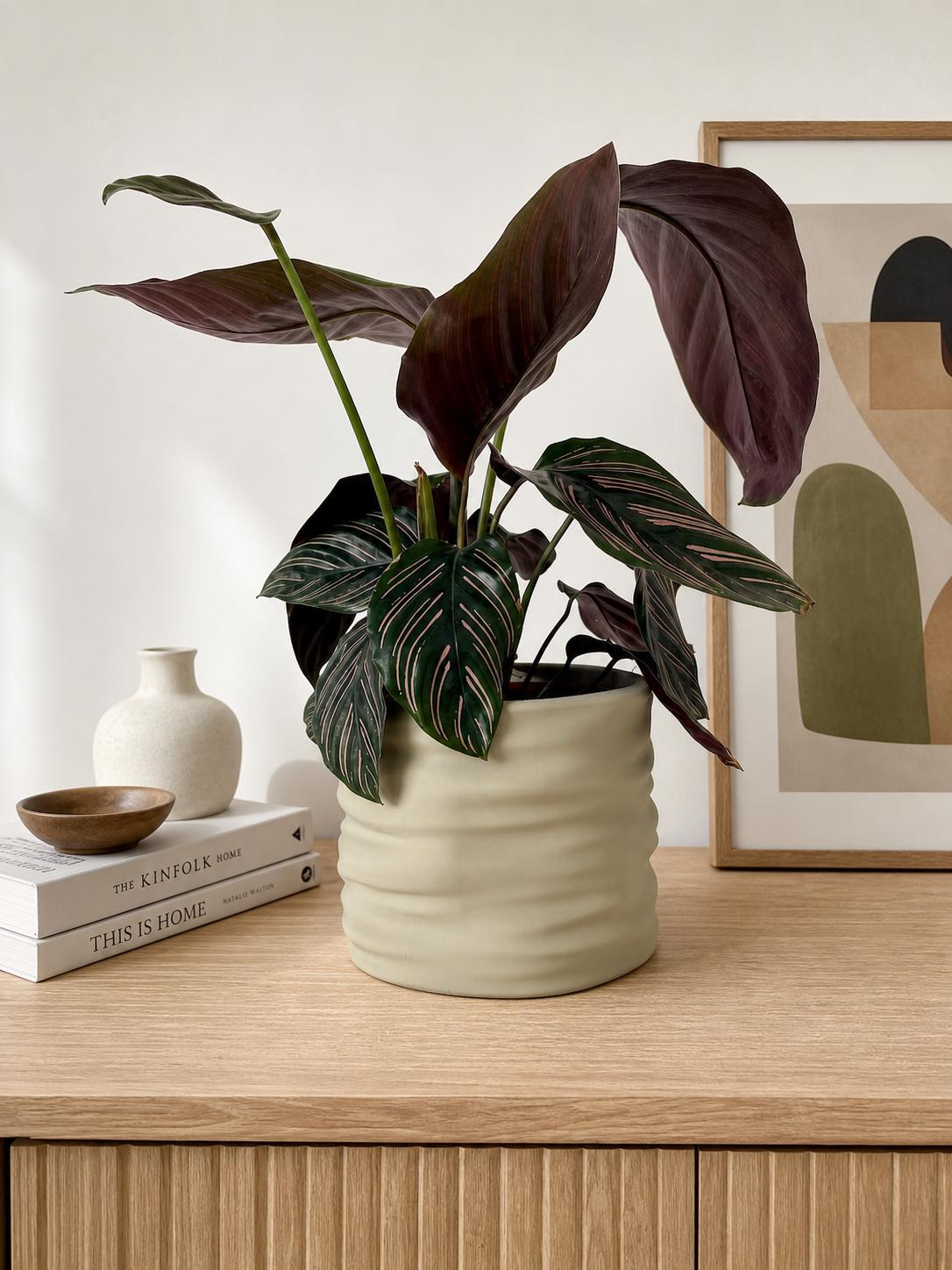 Modern Minimalist Planter - Sculpted Matte Indoor Plant Holder, Desk Shelf Decor